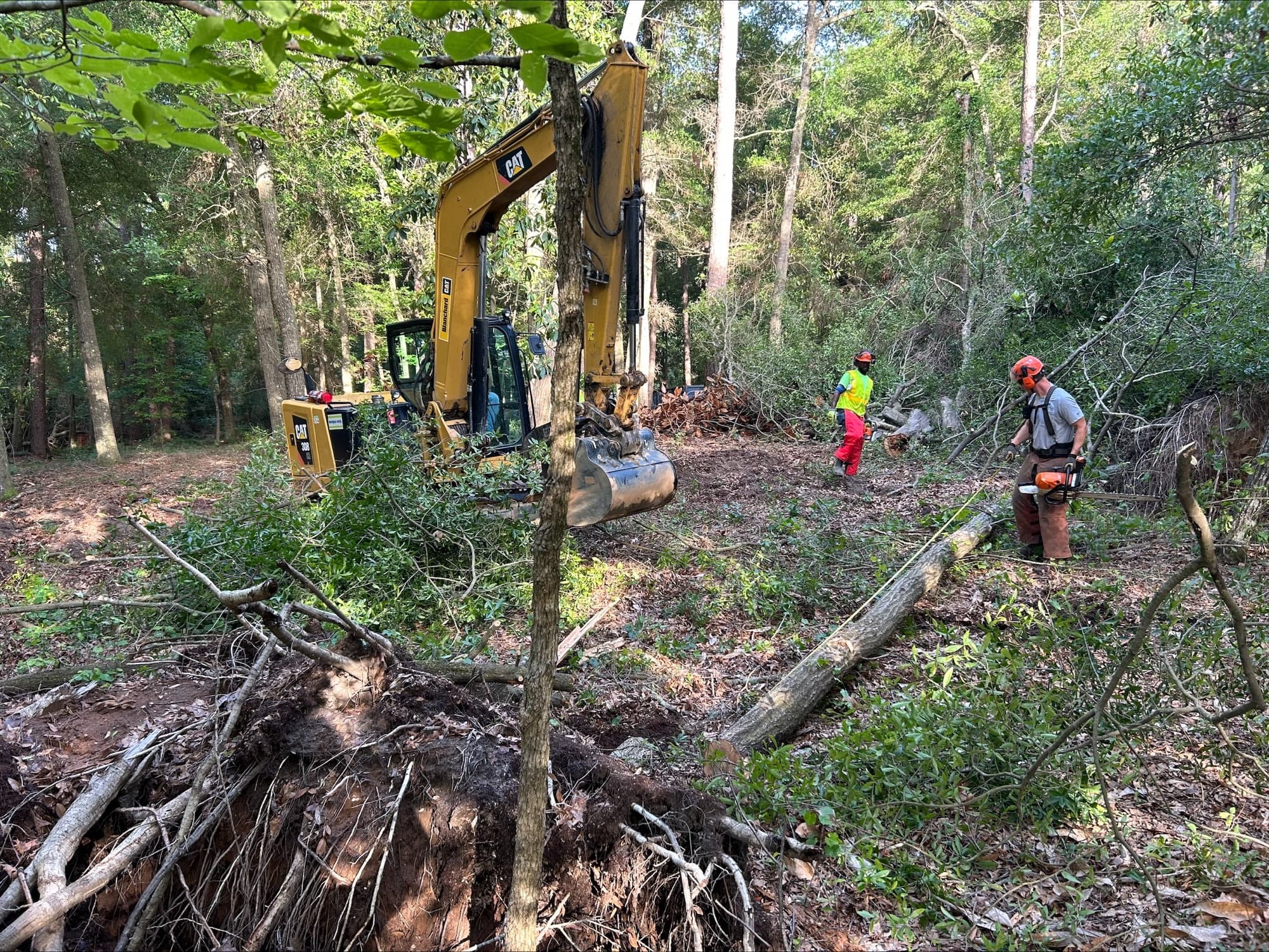 Hitchcock Woods Cleanup